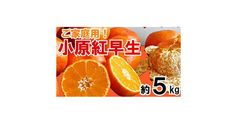 【ふるさと納税】ご家庭用！小原紅早生真っ赤なみかん　約5kg【12月以降発送開始】　 果物 柑橘 フルーツ 旬の果物 旬のフルーツ 冬の味覚 デザート おやつ 香川オリジナル品種 　お届け：2024年12月1日～2025年1月31日