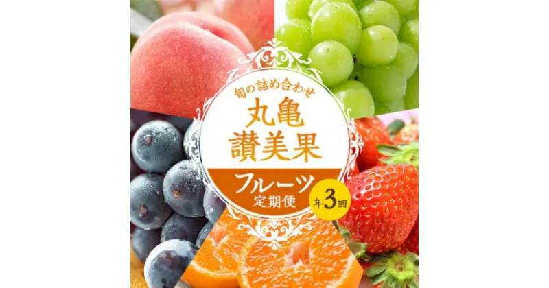 【ふるさと納税】フルーツ定期便 丸亀讃美果 計3回定期便／ 果実 果物 旬 定期配送 シャインマスカット 桃 みかん いちご ピオーネ ぶどう　詰め合わせ 詰合せ　定期便・ 果物類 フルーツ 果物 旬のフルーツ 季節の果物 桃 ブドウ いちご みかん せとか お楽しみ