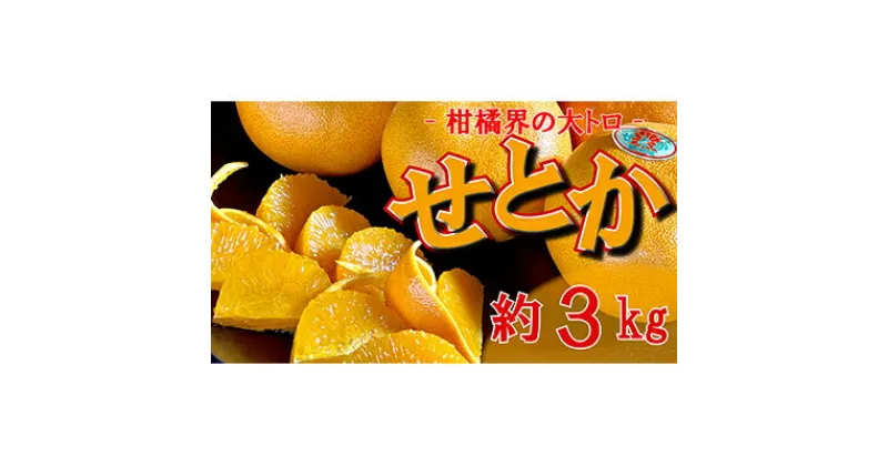 【ふるさと納税】柑橘界の大トロ！せとか　約3kg【2月以降発送開始】　 果物 柑橘 フルーツ 冬の味覚 旬の果物 旬のフルーツ せとかオレンジ 果汁 デザート おやつ 　お届け：2025年2月1日～2025年3月31日