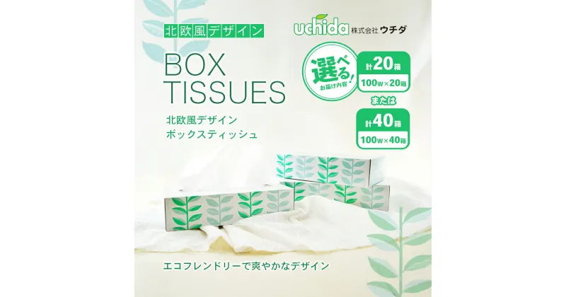 【ふるさと納税】ボックスティッシュ 北欧風デザイン 選べる内容量 計20箱～40箱 ティッシュペーパー ティッシュ 日用品 消耗品 生活用品 ボックスティシュ ティシュペーパー ティシュ ティシュー ティシューペーパー おしゃれ かわいい 香川