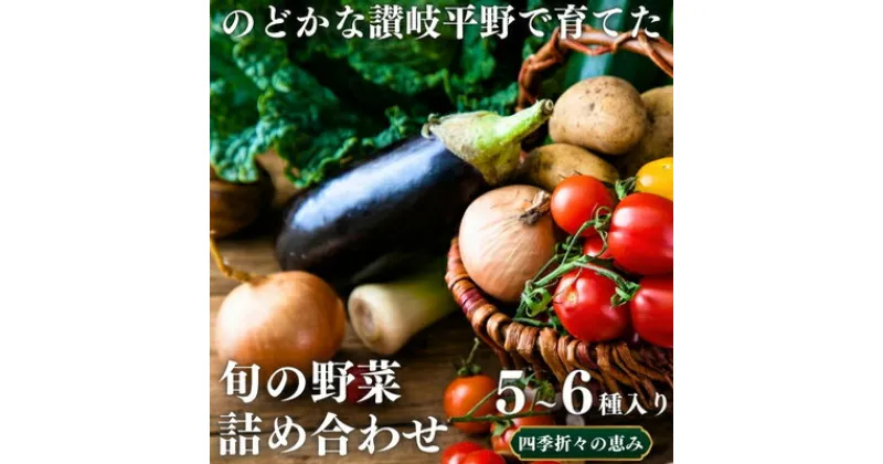 【ふるさと納税】のどかな讃岐平野で育てた 旬の野菜 詰め合わせセット　今が旬 健康 野菜ボックス ヘルシー食材　 トマト サツマイモ 新鮮 とれたて 季節 自家栽培 珍しい 美味しい たっぷり