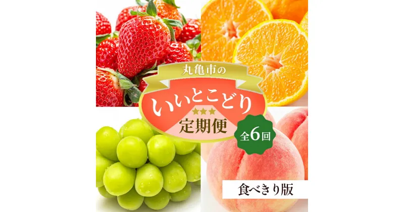 【ふるさと納税】フルーツ定期便 丸亀市のいいとこどり定期便/ 少人数でも楽しみやすい食べきり版【全6回】シャインマスカット 桃 ピオーネ いちご みかん さぬきひめ 定期配送 頒布会 果実 果物　定期便・丸亀市 定期便 食べきり フルーツ