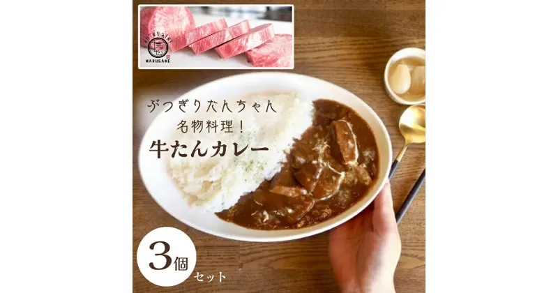 【ふるさと納税】ぶつぎりたんちゃん名物料理！牛たんカレー 3個セット 牛タン 惣菜冷凍食品 ビーフ 惣菜 カレー