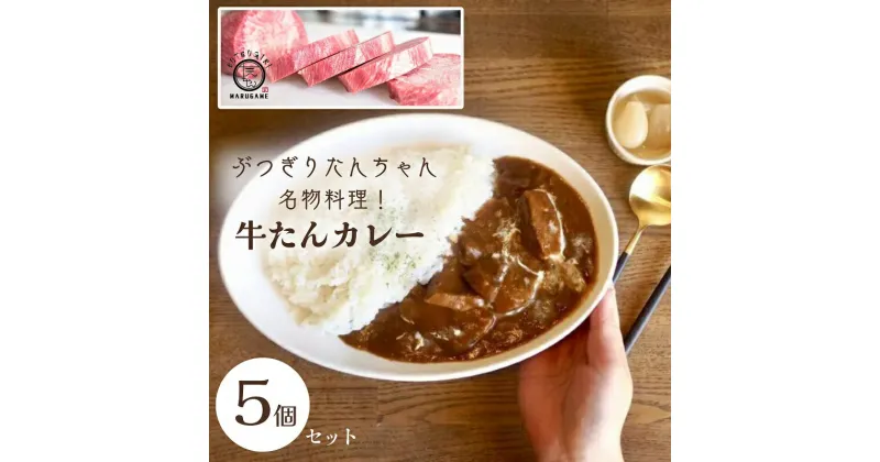 【ふるさと納税】ぶつぎりたんちゃん名物料理！牛たんカレー 5個セット 牛タン 惣菜冷凍食品 ビーフ 惣菜 カレー