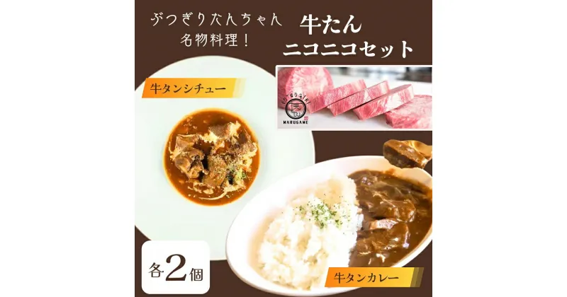 【ふるさと納税】ぶつぎりたんちゃん名物料理！牛たんニコニコセット（牛タンシチュー×2袋・牛タンカレー×2袋） 惣菜冷凍食品