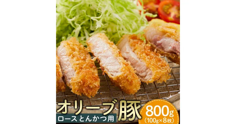 【ふるさと納税】【ギフト用】豚肉 オリーブ豚 ロースとんかつ用 800g（100g×8枚）【化粧箱入り】【配送不可：離島】 | 香川県 坂出市 香川 返礼品 お取り寄せグルメ 取り寄せ グルメ 食品 豚肉 豚 肉 お肉 ぶた ブタ 豚ロース ロース とんかつ トンカツ かつ カツ 豚カツ