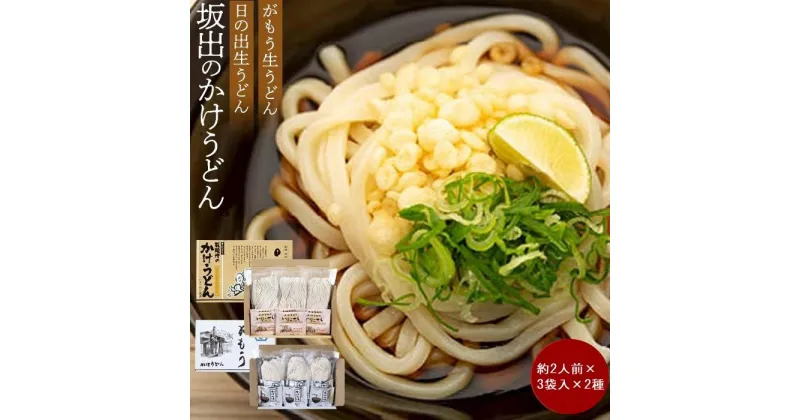 【ふるさと納税】【坂出のうどん】がもうと日の出のかけうどんセット 約2人前×3袋入×2種 | 香川県 坂出市 四国 うどん 讃岐うどん さぬきうどん 生うどん 麺 生麺 常温 詰め合わせ 食べ比べセット お取り寄せグルメ 取り寄せ グルメ ご当地グルメ 麺類 かけうどん