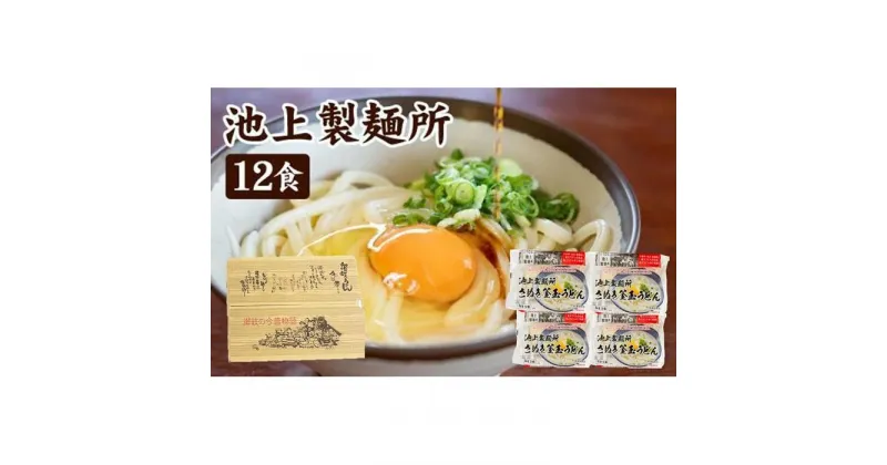 【ふるさと納税】讃岐生うどん12食入（1袋3食入×4袋）＊鎌田醤油だし醤油付＊ 池上製麺所監修！｜うどん 生麺 | 香川県 坂出市 讃岐うどん さぬきうどん 生うどん めん 麺 池上製麺所 常温 お取り寄せグルメ 取り寄せ グルメ ご当地グルメ ご自宅用 家庭用 釜玉うどん