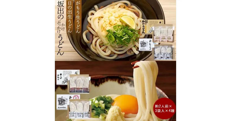 【ふるさと納税】【坂出のうどん】がもうと日の出のうどんセット 約2人前×3袋入り×4種 | 香川県 坂出市 四国 うどん 讃岐うどん さぬきうどん 生うどん めん 麺 生麺 常温 詰め合わせ 食べ比べセット お取り寄せグルメ 取り寄せ グルメ ご当地グルメ 麺類 美味しい お土産