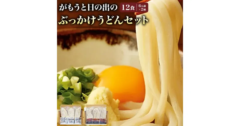 【ふるさと納税】【坂出のうどん】がもうと日の出のぶっかけうどんセット 約2人前×3袋入×2種 | 香川県 坂出市 四国 うどん 讃岐うどん さぬきうどん 生うどん めん 麺 生麺 常温 詰め合わせ 食べ比べセット お取り寄せグルメ 取り寄せ グルメ ご当地グルメ うどんセット