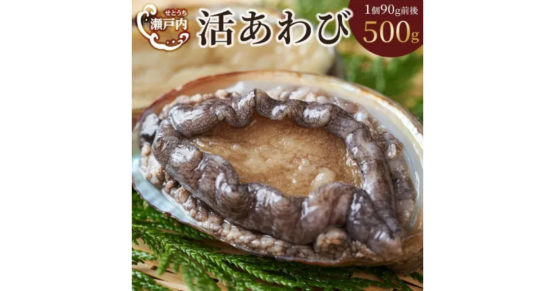 【ふるさと納税】瀬戸内あわび（活）500g（1個90g前後） | 香川県 坂出市 香川 四国 楽天ふるさと 納税 返礼品 支援 お取り寄せグルメ 取り寄せ グルメ 食品 魚介類 魚介 海の幸 海産物 あわび アワビ 鮑 生食 むしあわび お取り寄せ 特産品 おいしい 美味しい 刺し身 刺身