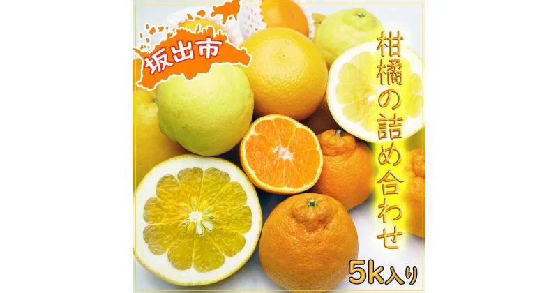 【ふるさと納税】今が旬の柑橘勢揃い！坂出産の柑橘詰め合わせセット | 香川県 坂出市 香川 四国 楽天ふるさと 納税 返礼品 支援 お取り寄せグルメ 取り寄せ グルメ 食品 フルーツ 果物 くだもの 柑橘 柑橘類 かんきつ類 かんきつ ご自宅用 家庭用 お取り寄せ 特産品 ご当地