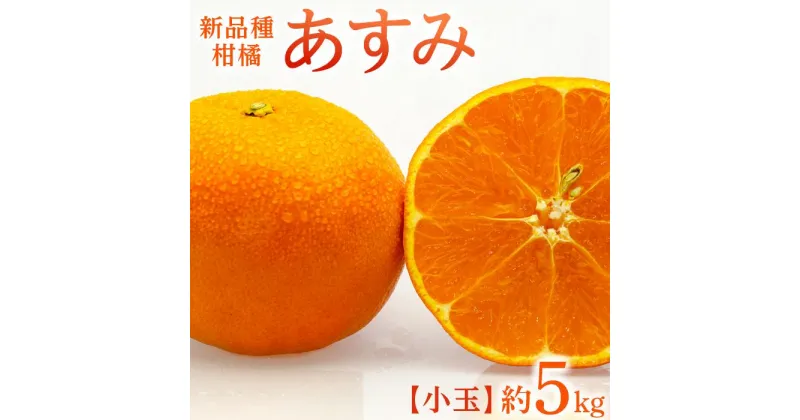 【ふるさと納税】新品種柑橘「あすみ」小玉 約5kg | 香川県 坂出市 香川 四国 楽天ふるさと 納税 返礼品 支援 お取り寄せグルメ 取り寄せ グルメ 食品 フルーツ 果物 くだもの 柑橘 柑橘類 かんきつ類 かんきつ ご自宅用 家庭用 お取り寄せ 特産品 ご当地 おいしい 美味しい