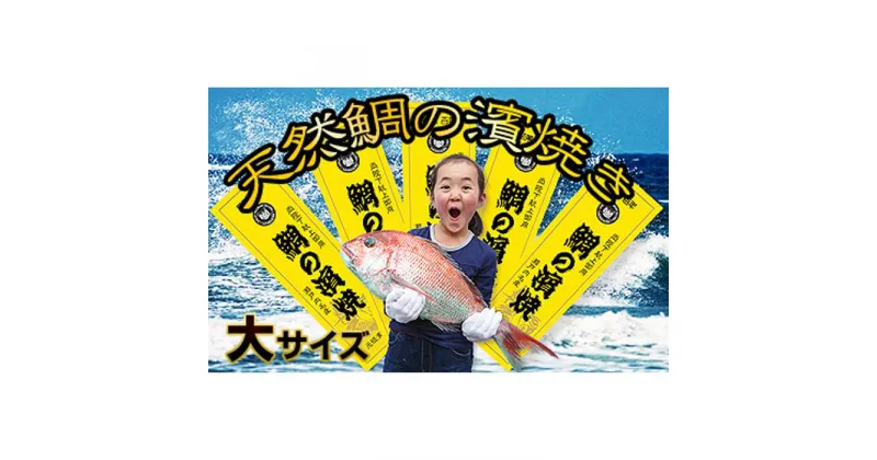 【ふるさと納税】［朝廷献上品］＜瀬戸内海産＞天然鯛の浜焼き【大サイズ】 | 香川県 坂出市 香川 四国 楽天ふるさと 納税 返礼品 支援 お取り寄せグルメ 取り寄せ グルメ 食品 真鯛 鯛 たい タイ マダイ 魚介類 海の幸 魚 海産物 焼き魚 特産品 水産加工品 魚介 おいしい