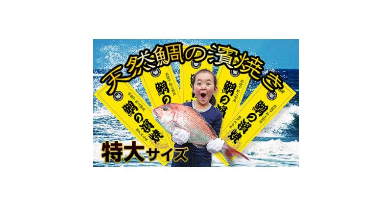 【ふるさと納税】［朝廷献上品］＜瀬戸内海産＞天然鯛の浜焼き【特大サイズ】 | 香川県 坂出市 香川 四国 楽天ふるさと 納税 返礼品 支援 お取り寄せグルメ 取り寄せ グルメ 食品 真鯛 鯛 たい タイ マダイ 魚介類 海の幸 魚 海産物 焼き魚 特産品 水産加工品 魚介 おいしい