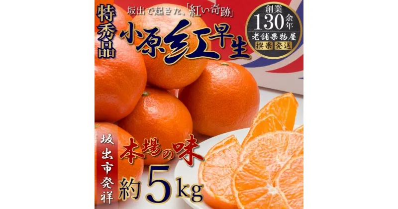 【ふるさと納税】特秀品！小原紅早生みかん　約5kg【坂出発祥の真っ紅なお蜜柑】