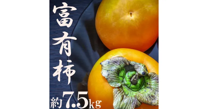 【ふるさと納税】甘柿の王様！富有柿約7.5kg