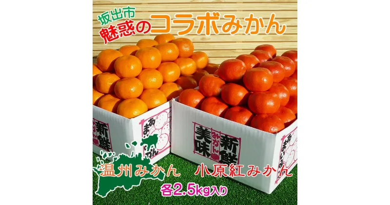 【ふるさと納税】小原紅早生 & 完熟温州 セット 約5kg ( 小原紅早生みかん約2.5kg & 完熟温州みかん約2.5kg ) S ～ Lサイズ ｜ みかん | フルーツ 果物 くだもの 食品 人気 おすすめ 送料無料