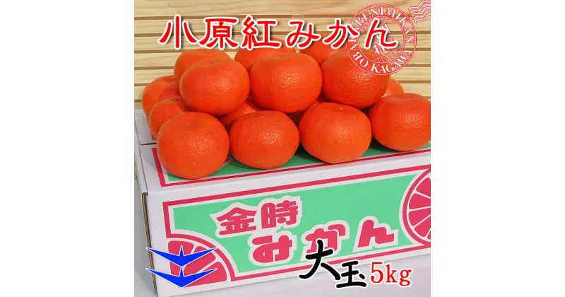 【ふるさと納税】小原紅早生みかん 香川県産 約5kg ( 2Lサイズ ) ｜ みかん | フルーツ 果物 くだもの 食品 人気 おすすめ 送料無料