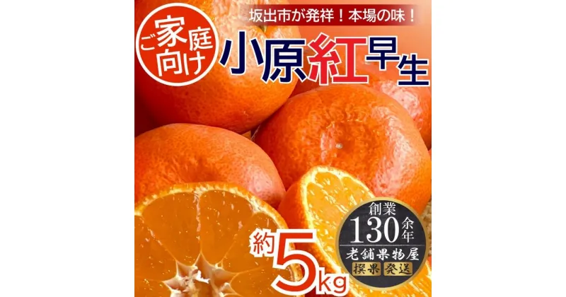 【ふるさと納税】ご家庭向け！小原紅早生みかん　約5kg【坂出発祥の真っ紅なお蜜柑】