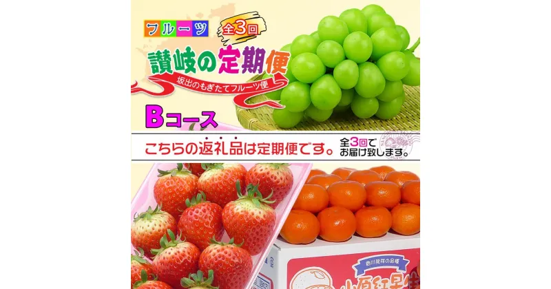 【ふるさと納税】【定期便3回Bコース】 フルーツ セット 定期便 ( いちご 約250g × 4パック & シャインマスカット 1房 約600g以上 & みかん 約5kg × 3ヶ月 ) ｜産直あきんど 坂出産 創業100年 | フルーツ 果物 くだもの 食品 人気 おすすめ 送料無料 お楽しみ