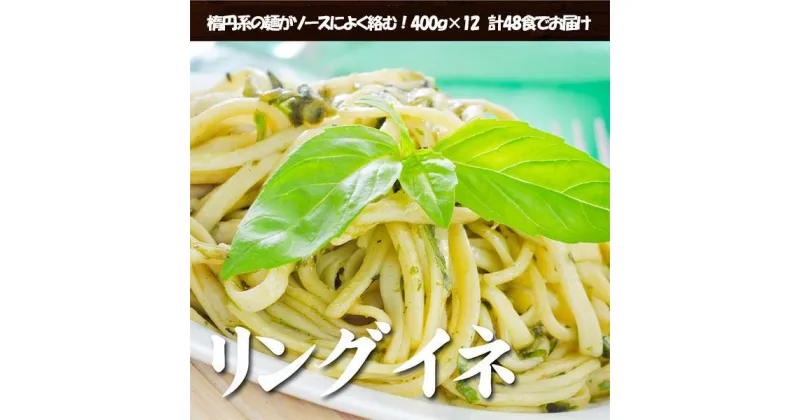 【ふるさと納税】生パスタ リングイネ 4.8kg 48食分( 麺 400g：4食 × 12袋 )｜生麺 | 麺 食品 加工食品 人気 おすすめ 送料無料