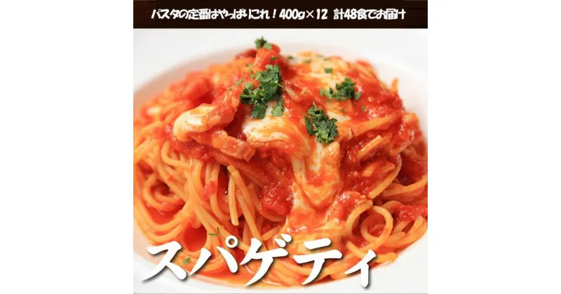 【ふるさと納税】生パスタ スパゲティ 4.8kg 48食 ( 400g × 12袋 )｜生麺 | 麺 食品 加工食品 人気 おすすめ 送料無料