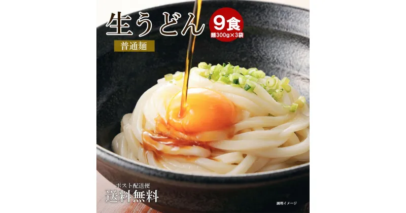 【ふるさと納税】うどん 生うどん 900g ( 300g × 3袋 ) 9食分 讃岐うどん さぬきうどん 麺 麺類 香川 普通麺 麺のみ ウドン ふるさと納税 ふるさと 饂飩 美味しい ご当地 グルメ