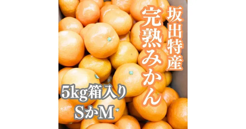 【ふるさと納税】坂出特産みかん 約5kg入り（SまたはMサイズ） | フルーツ 果物 くだもの 食品 人気 おすすめ 送料無料