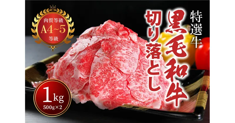 【ふるさと納税】国産 A4 A5 黒毛和牛 切り落とし 1kg （500g×2パック） 小分け 香川県 善通寺市