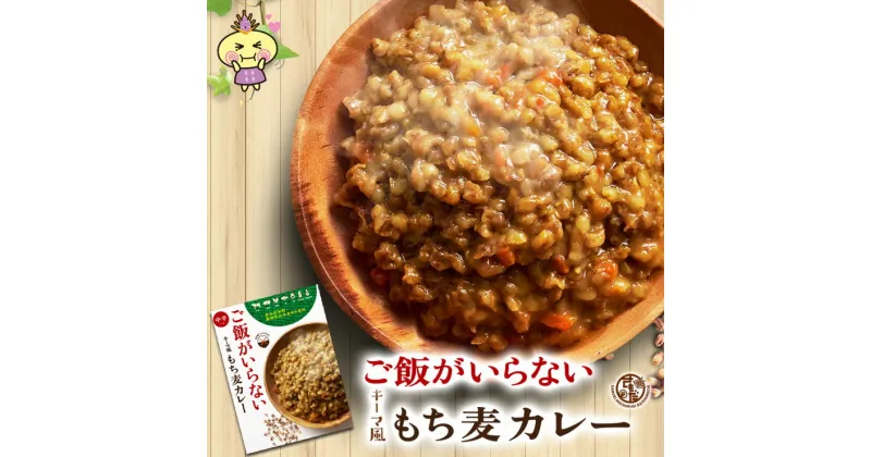 【ふるさと納税】ご飯がいらない キーマ風もち麦カレー　中辛(180g)1袋10袋セット