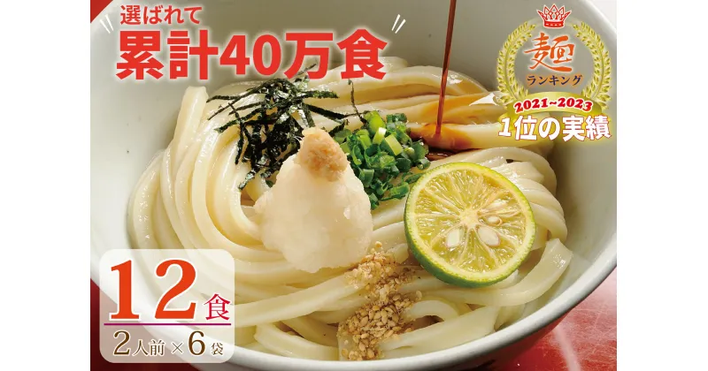 【ふるさと納税】さぬき生うどん12食セット（2人前×6袋）【1〜2ヶ月程度で発送】