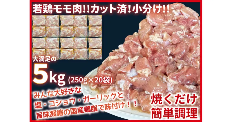 【ふるさと納税】カット済！味付き！若鶏小分けもも切身 5kg (250g×20袋)　小分け 冷凍 香川県 善通寺市 人気