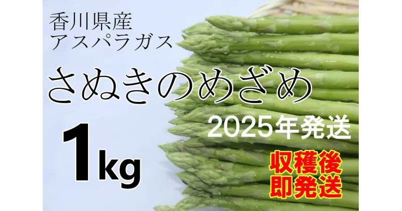 【ふるさと納税】　＜先行受付開始！＞　2025年産　善通寺市産アスパラ｢さぬきのめざめ｣ 1kg　【2025年3月から発送開始のお品です】