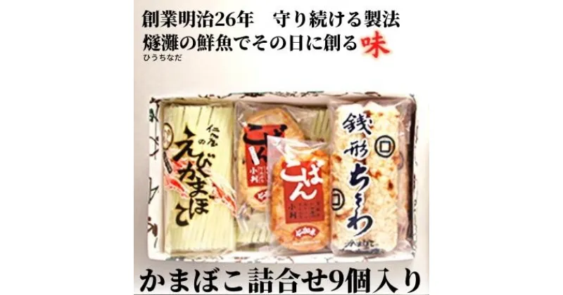 【ふるさと納税】かまぼこ詰合せ9個入り 蒲鉾 ちくわ 贈答　魚貝類／かまぼこ・練り物類