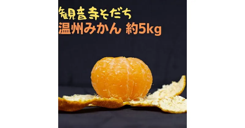 【ふるさと納税】温州みかん 約5kg　果物類・みかん・柑橘類・フルーツ・ミカン・くだもの　お届け：2024年11月上旬～2025年1月下旬