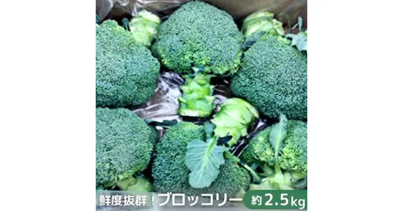 【ふるさと納税】鮮度抜群！ブロッコリー 約2.5kg　野菜・野菜セット　お届け：2024年11月下旬～2025年6月中旬