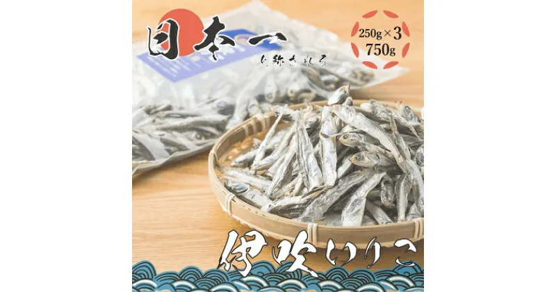 【ふるさと納税】いりこの産地から！伊吹いりこ 大羽 750g（250g×3袋）　 大容量 瀬戸内海 伊吹島産 大羽 鰯 カタクチイワシ 海参 加工食品 出汁 おやつ お子様にも カルシウム 健康 海の幸 乾物 魚介類 おつまみ 保存食 特産品 お取り寄せ 9000円 酒のつまみ