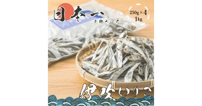 【ふるさと納税】いりこの産地から！伊吹いりこ 大羽 1kg（250g×4袋）　加工食品・魚貝類・干物