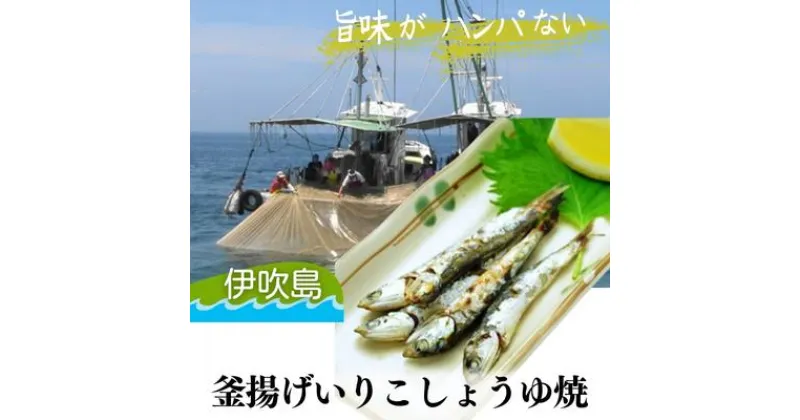 【ふるさと納税】旨味がハンパない伊吹島「釜揚げいりこしょうゆ焼」　魚貝類・干物・カタクチイワシ