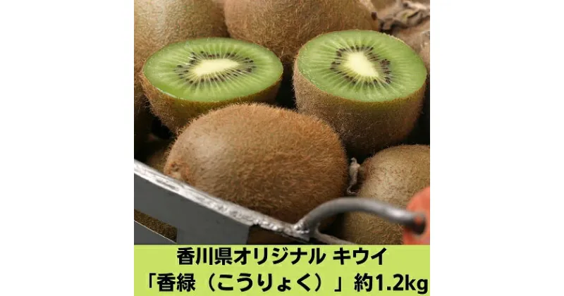 【ふるさと納税】香川県オリジナルキウイ「香緑（こうりょく）」約1.2kg　果物詰合せ・フルーツ　お届け：2024年12月上旬～2025年2月下旬