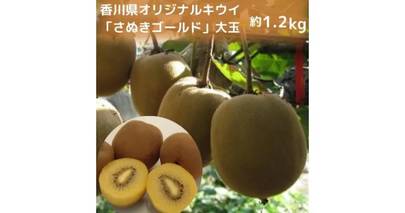 【ふるさと納税】香川県オリジナルキウイ「さぬきゴールド」大玉約1.2kg　果実 甘い 讃岐 くだもの ジューシー フルーツ　果物詰合せ・フルーツ　お届け：2024年10月中旬～12月下旬