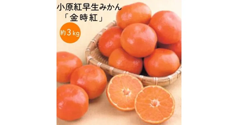 【ふるさと納税】小原紅早生みかん「金時紅」約3kg ミカン 柑橘 糖度11度 甘い　果物類・柑橘類・みかん・フルーツ・ミカン・蜜柑・くだもの　お届け：2024年11月下旬～12月下旬