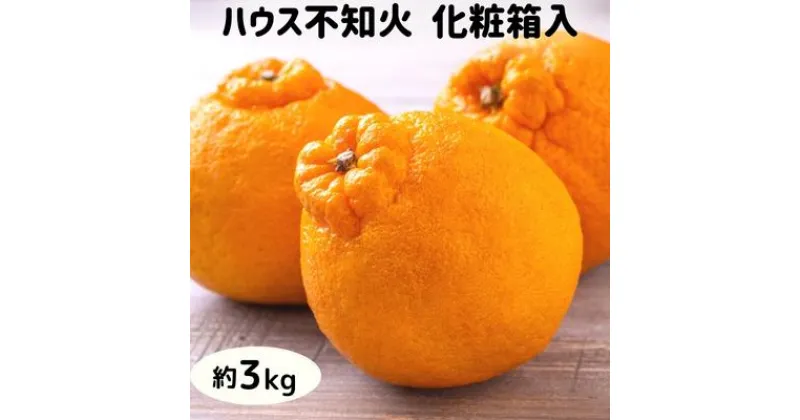 【ふるさと納税】ハウス不知火　約3kg化粧箱入り 柑橘 甘い ジューシー　果物類・柑橘類・フルーツ　お届け：2024年12月中旬～2025年2月下旬