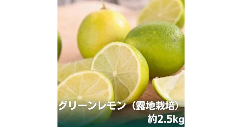 【ふるさと納税】グリーンレモン（露地栽培）約2.5kg　果物類・柑橘類・柑橘・レモン・檸檬・グリーンレモン　お届け：2024年10月上旬～12月上旬