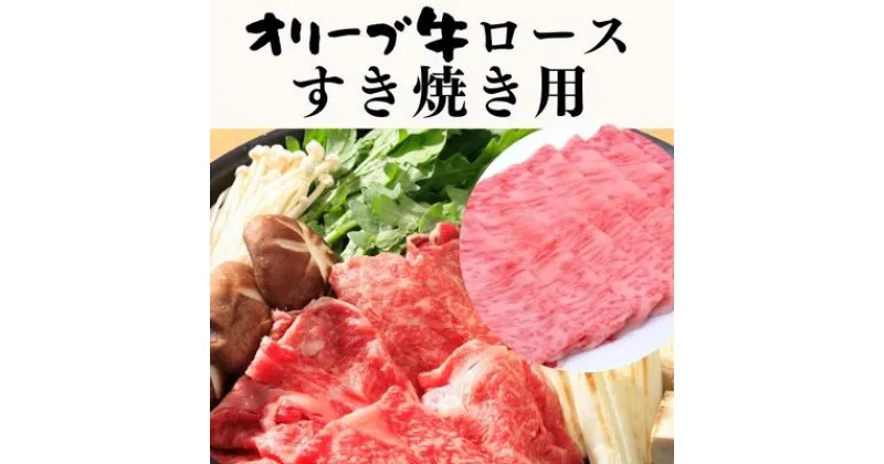 【ふるさと納税】オリーブ牛ロース　すき焼き用　500g　お肉・牛肉・すき焼き・オリーブ牛ロース・すき焼き用