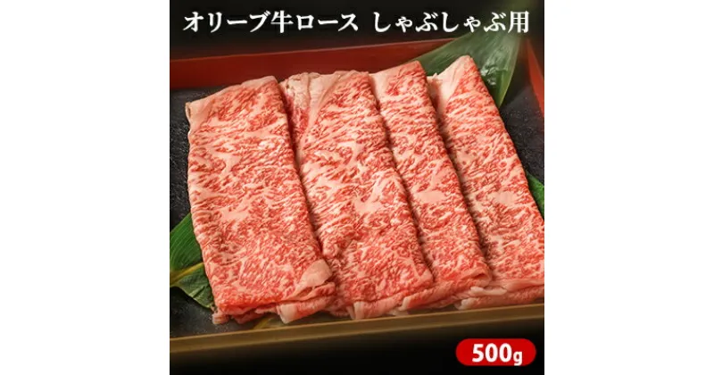 【ふるさと納税】オリーブ牛ロース　しゃぶしゃぶ用　500g　お肉・牛肉・ロース・オリーブ牛ロース・しゃぶしゃぶ用