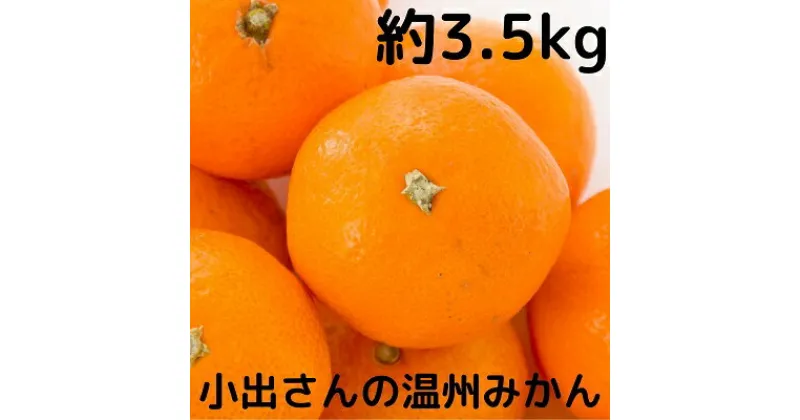 【ふるさと納税】小出さんの温州 みかん 約3.5kg　果物類・柑橘類・みかん・フルーツ　お届け：2024年11月上旬～12月下旬