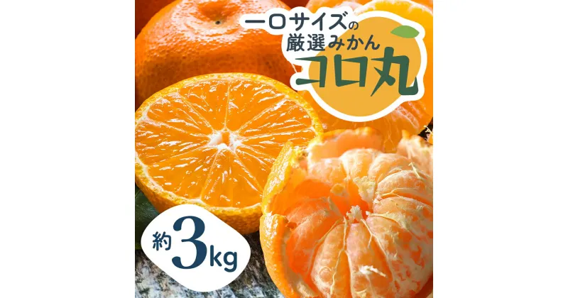 【ふるさと納税】2024年秋よりお届け 瀬戸内　小みかん！コロ丸　約3kg　果物類・柑橘類・みかん・フルーツ　お届け：2024年10月上旬～12月中旬