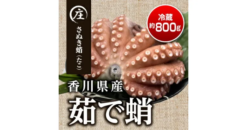 【ふるさと納税】香川県産 茹でたこ 1杯 約800g（冷蔵）※配送不可：北海道、沖縄　魚貝類・タコ